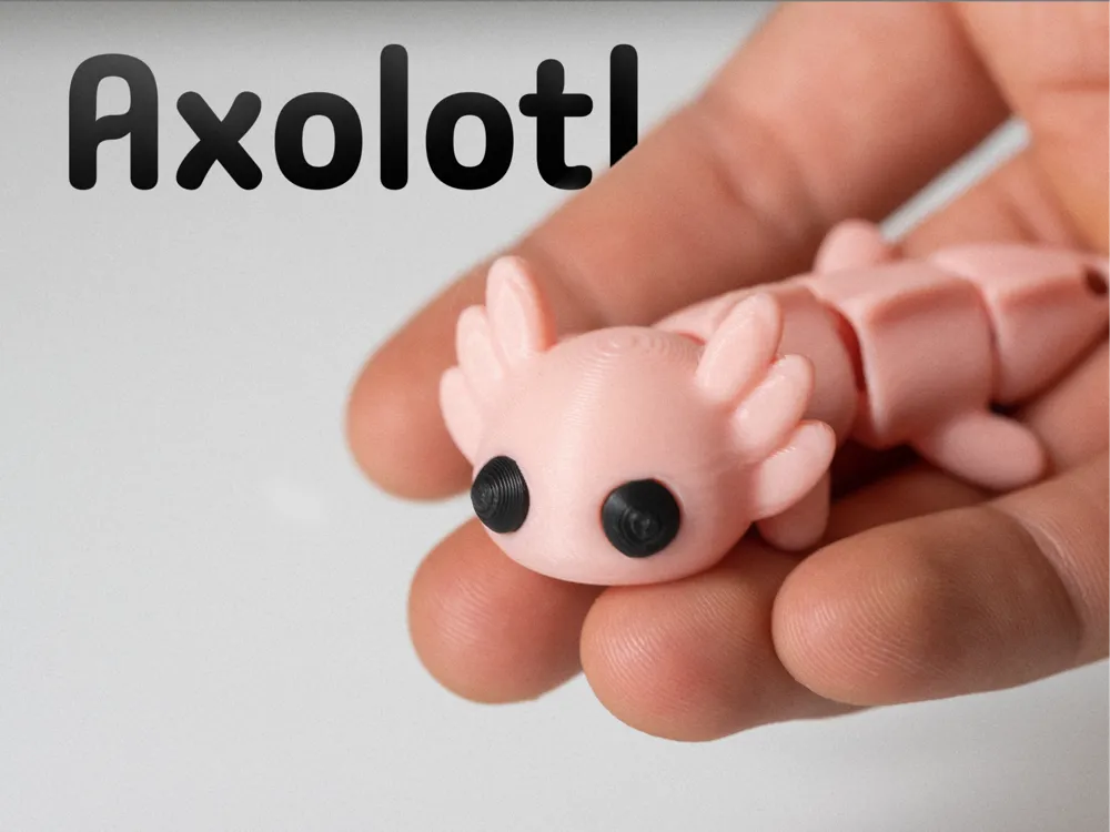 Axolotl
